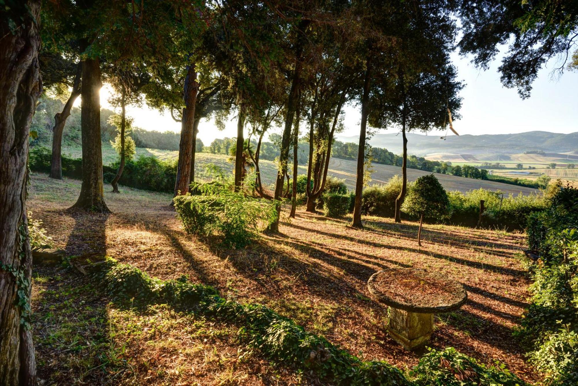 Sabolini 4*